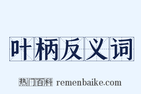 叶柄反义词是什么意思的图片